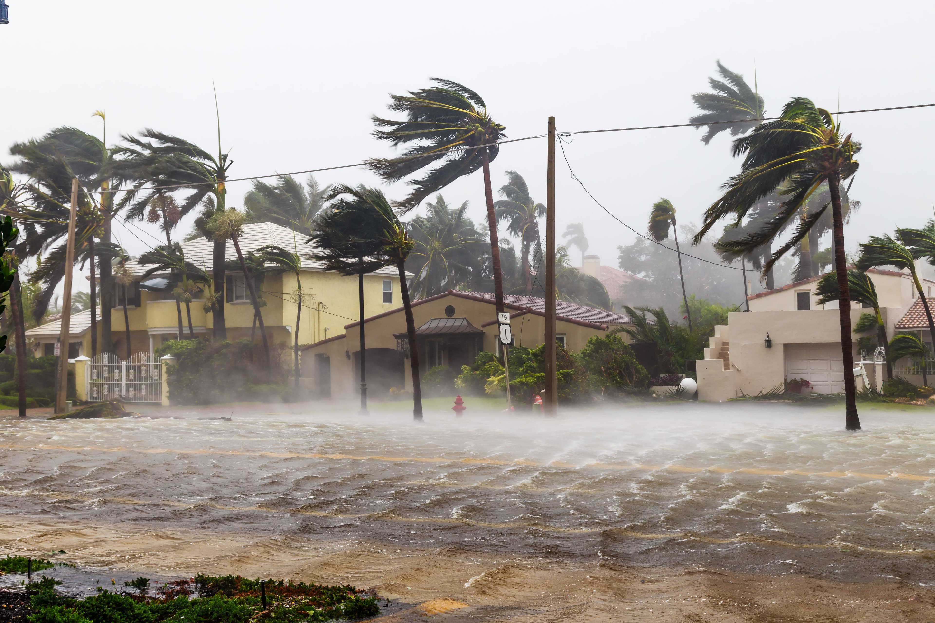 Handling Hurricane Claims with Gulf Coast Insurance Lawyers image related