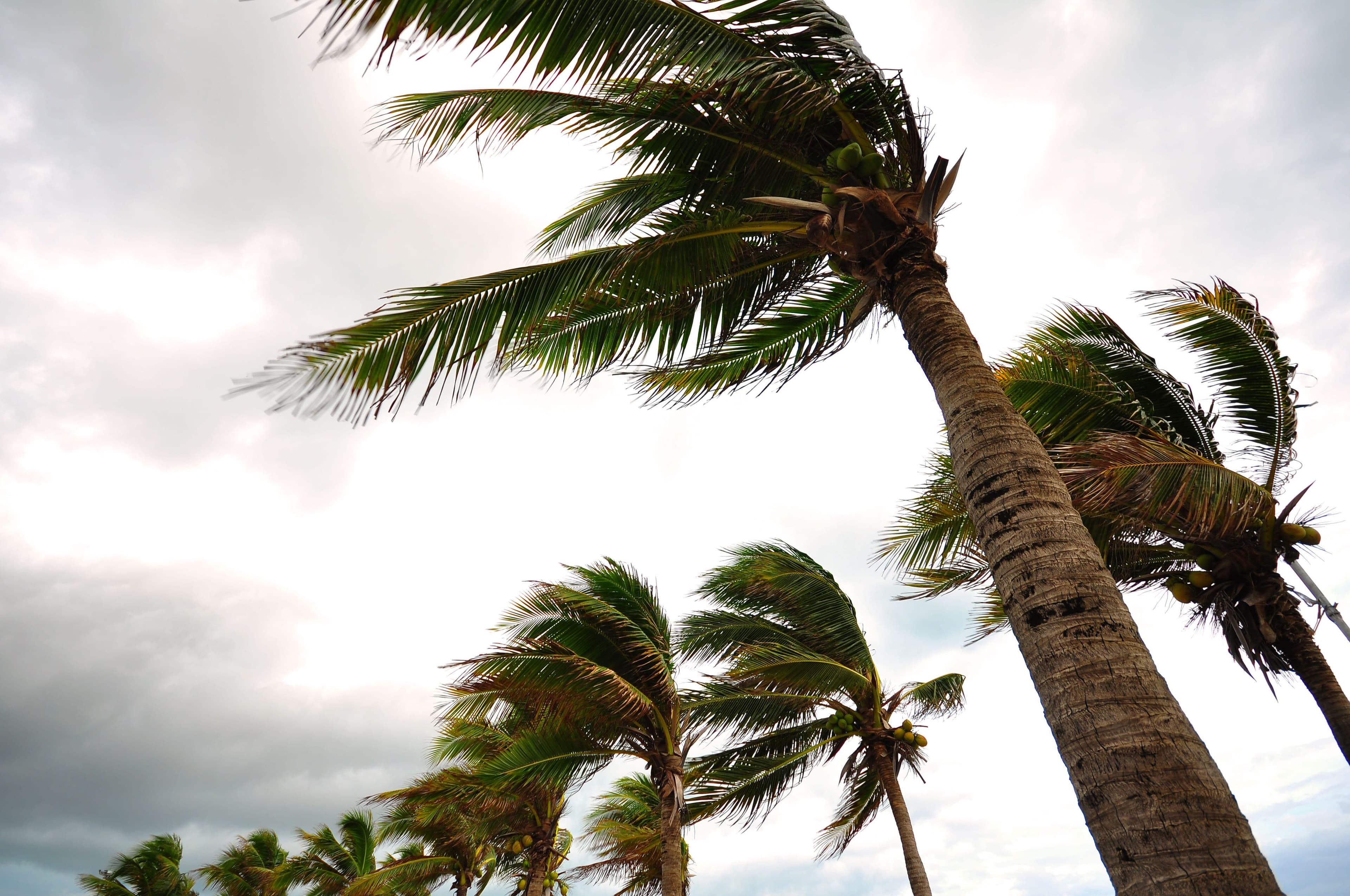 Navigating First-Party Insurance Claims After a Hurricane in Texas image related